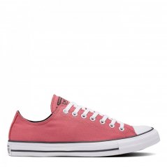 Converse Chuck Taylor All Star Classic Trainers Rhubarb Pie/Wht