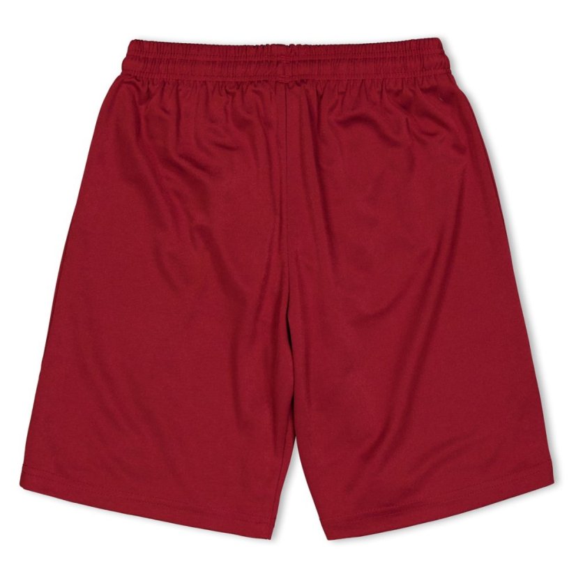 Puma (F3) Fb Team Shorts With Brief Juniors Red