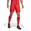 adidas Bayern Munich Home Shorts 2024 2025 Adults Red