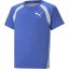 Puma Essential Regular Fit T-Shirt Junior Boys Royal Spphire