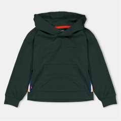 Craghoppers Unisex Kids' Crag Baylor Hoodie Spruce Green