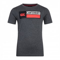 Canterbury Cotton Logo T-Shirt Juniors Dark Grey
