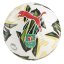 Puma Orbita 6 Carabao Cup Football 2024 2025 White/Green