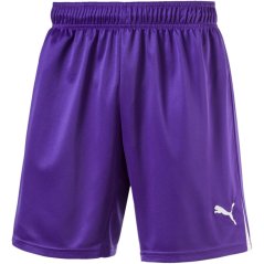 Puma (50) (Fb) Boy Team Shorts Juniors Purple