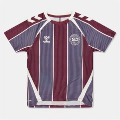 Hummel Denmark Pre Match Shirt 2025 Juniors Multi