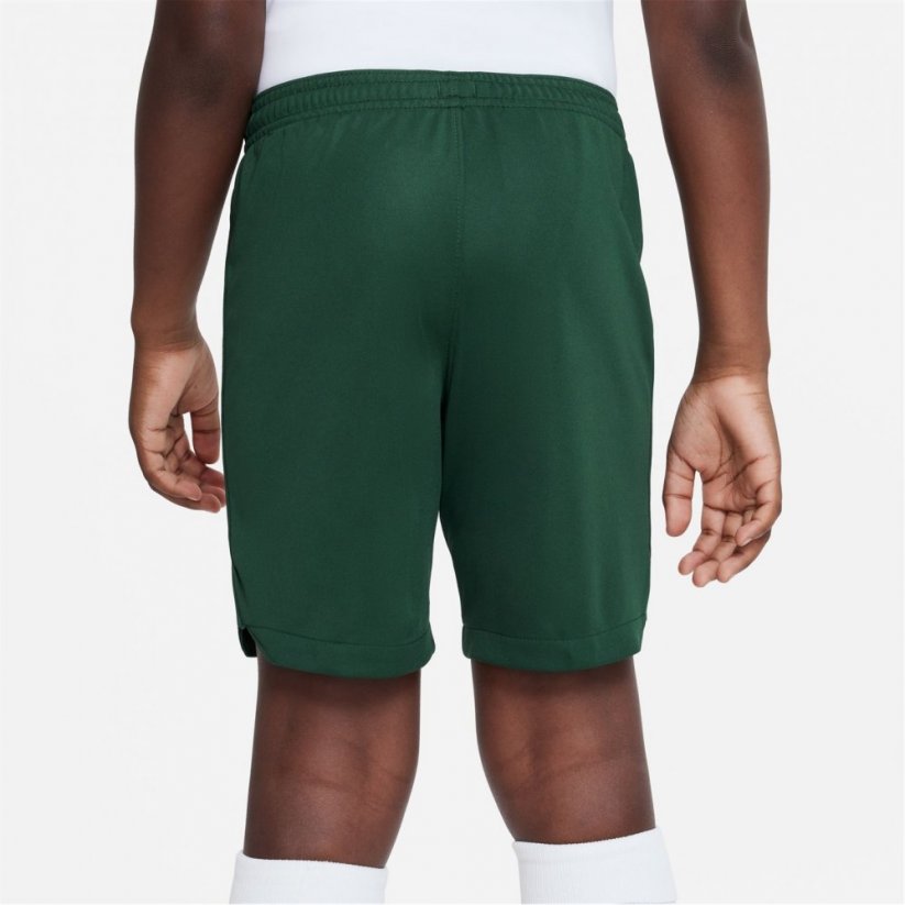 Nike Nigeria Home Match Shorts 2022 Juniors Green