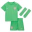 Nike Nigeria Home Babykit 2023 Green