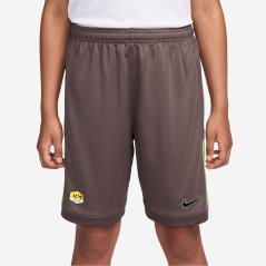 Nike Unisex Kids' Football Shorts Plum