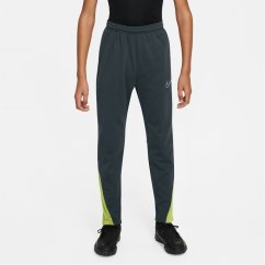 Nike Academy Winter Warrior Pant Seaweed/Lime