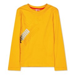 Puma Graphic Ls Tee Juniors Orange