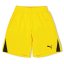 Puma (F3) Fb Team Shorts With Brief Juniors Yellow