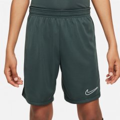 Nike Academy Shorts Junior Boys Green