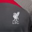 Nike Dri-FIT Liverpool FC Strike Short Sleeve Top 2023 2024 Adults Anthracite