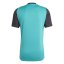 adidas Jamaica Training Top Adults 2024 Green