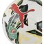 Puma Orbita 6 Carabao Cup Football 2024 2025 White/Green