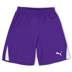 Puma (F3) Fb Team Shorts With Brief Juniors Purple