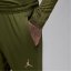 Nike Jordan Paris Saint-Germain Fourth Football Joggers Adults Green