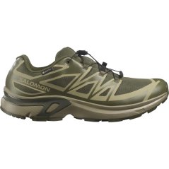 Salomon XT EVR GTX Mens Olv/Aloe/Blk