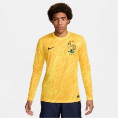 Nike France Goalkeeper Shirt 2024 Adults Tour Yellow
