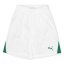 Puma (F3) Fb Team Shorts With Brief Juniors White