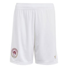 adidas Kids' Official 100 International Licensed Football Shorts White