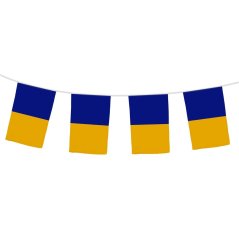 Official Bunting Royal/Amber