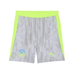 Puma Manchester City Third Shorts 2025 2026 Adults Grey/Green
