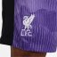 Nike Liverpool FC 23/24 Dri-Fit Stadium Third Shorts Purple/White
