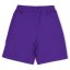 Puma (F3) Fb Team Shorts With Brief Juniors Purple
