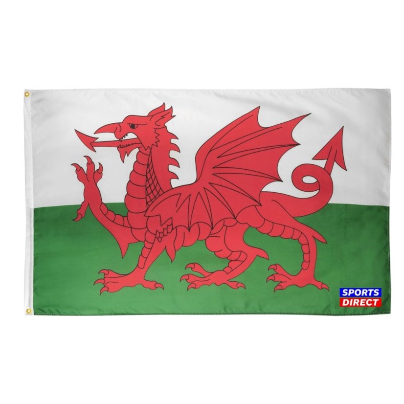 Team Flag 8x5 22 Wales