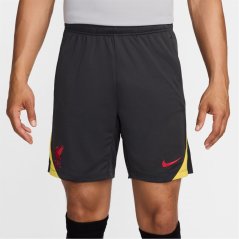 Nike Liverpool Strike Third Shorts 2024 2025 Adults Grey