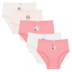 Character Disney Princess 5PK Knickers Minnie Mouse