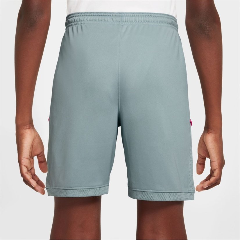 Nike Academy Shorts Juniors Grey/Pink