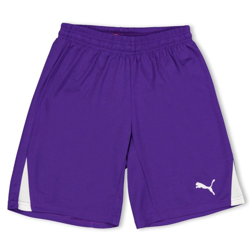 Puma (F3) Fb Team Shorts With Brief Juniors Purple
