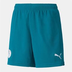 Puma Manchester City Fc Replica Short Blue