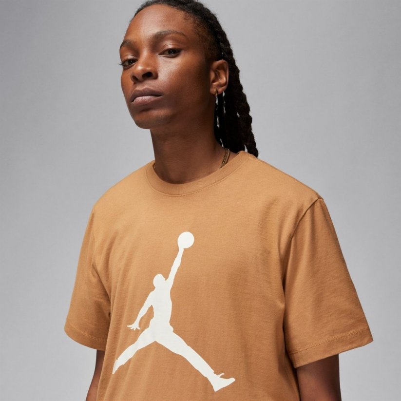 Air Jordan Big Logo pánské tričko Brown/Sand