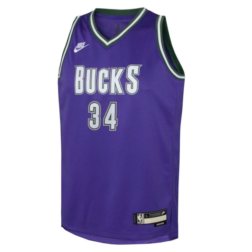 Nike Milwaukee Bucks Antetokounmpo #34 Jersey Purple
