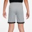 Nike Academy Shorts Juniors Grey/Gold