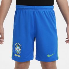 Nike Brazil Home Shorts 2024 Juniors Green