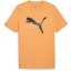 Puma Desert Road Graphic Tee pánske tričko Clementine