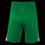 Nike Unisex Kids' Performance Gym Shorts Pine Green/Wht