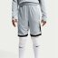 Nike Academy Shorts Juniors Grey/Gold