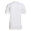adidas ENT22 Graphic Jersey Mens White/Grey