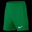 Nike Unisex Kids' Performance Gym Shorts Pine Green