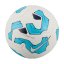 Nike PITCH - FA24 White/Blue