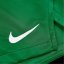 Nike Unisex Kids' Performance Gym Shorts Pine Green