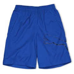 Puma Boy Bermudas Juniors Blue