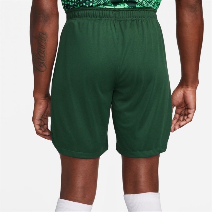 Nike Nigeria Home Match Short 2022 Mens Green