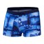 Speedo Men's Valmi Swim Shorts Blue/Zaffre
