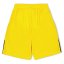 Puma (F3) Fb Team Shorts With Brief Juniors Yellow